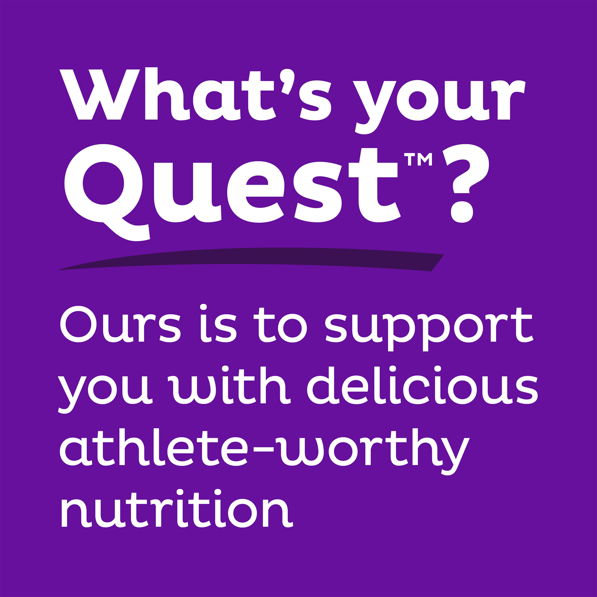 double-chocolate-chunk-protein-bars-h5 qst-000241_double-chocolate-chunk-protein-bars_9.png