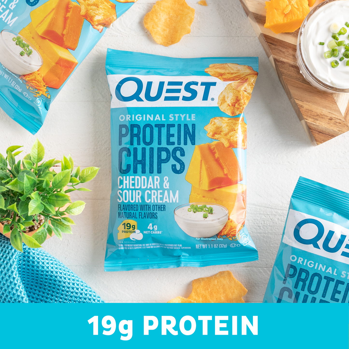 cheddar-and-sour-cream-original-style-protein-chips-r7 qst-000296_cheddar-_-sour-cream-original-style-protein-chips_6.1.png
